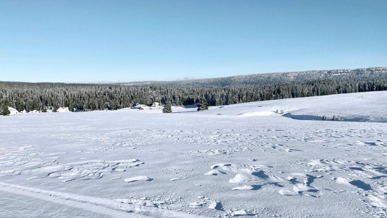 Appartement Ideal Pour Ete Et Hiver, Situe Au Pied Des Pistes De Ski Et Des Sentiers De Randonnee Prémanon Eksteriør bilde