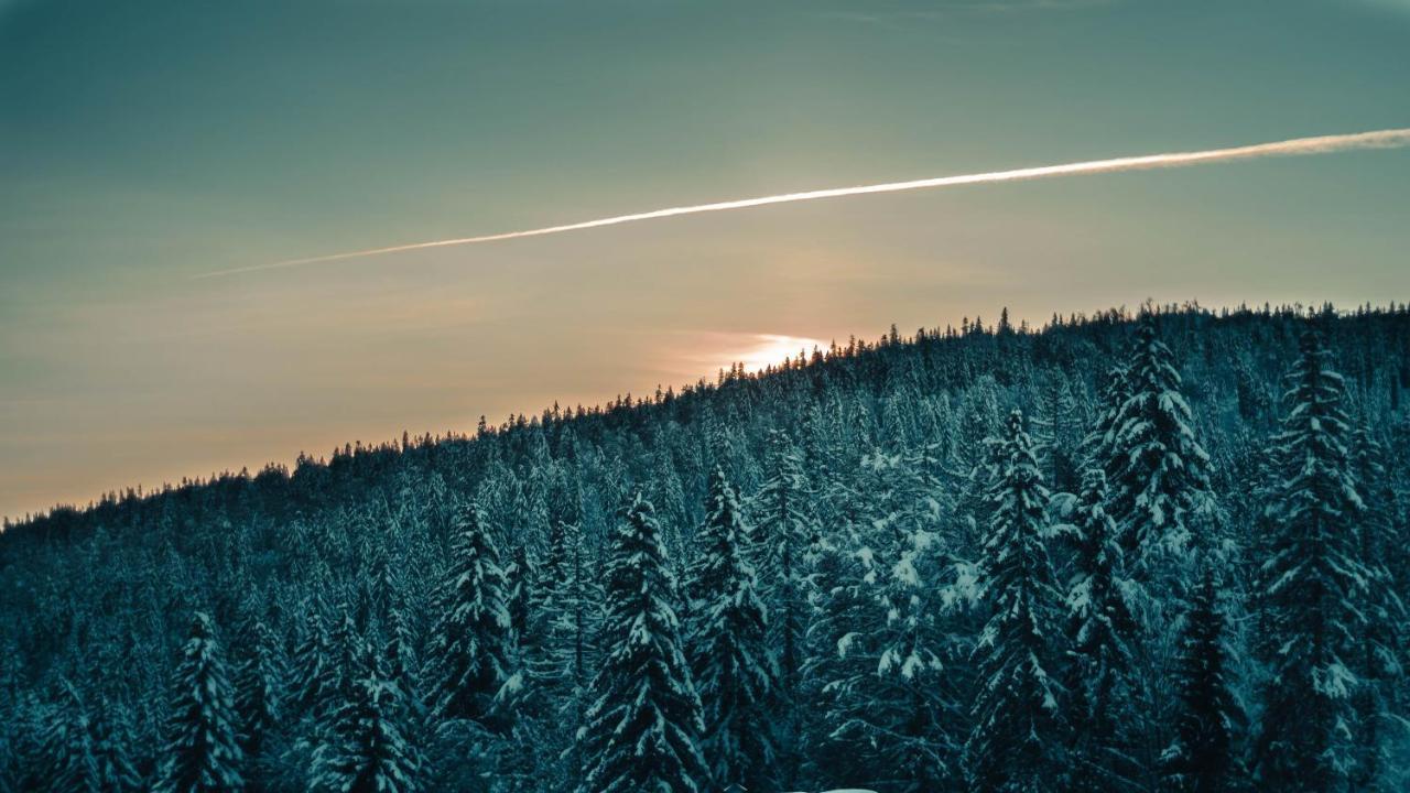 Appartement Ideal Pour Ete Et Hiver, Situe Au Pied Des Pistes De Ski Et Des Sentiers De Randonnee Prémanon Eksteriør bilde