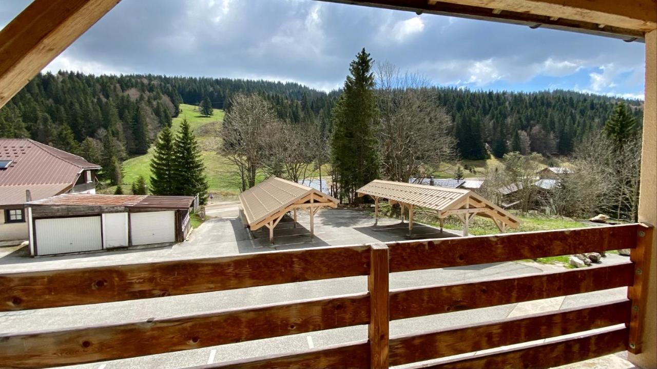 Appartement Ideal Pour Ete Et Hiver, Situe Au Pied Des Pistes De Ski Et Des Sentiers De Randonnee Prémanon Eksteriør bilde